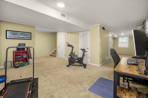 Lower level family room with walkout to back yard.