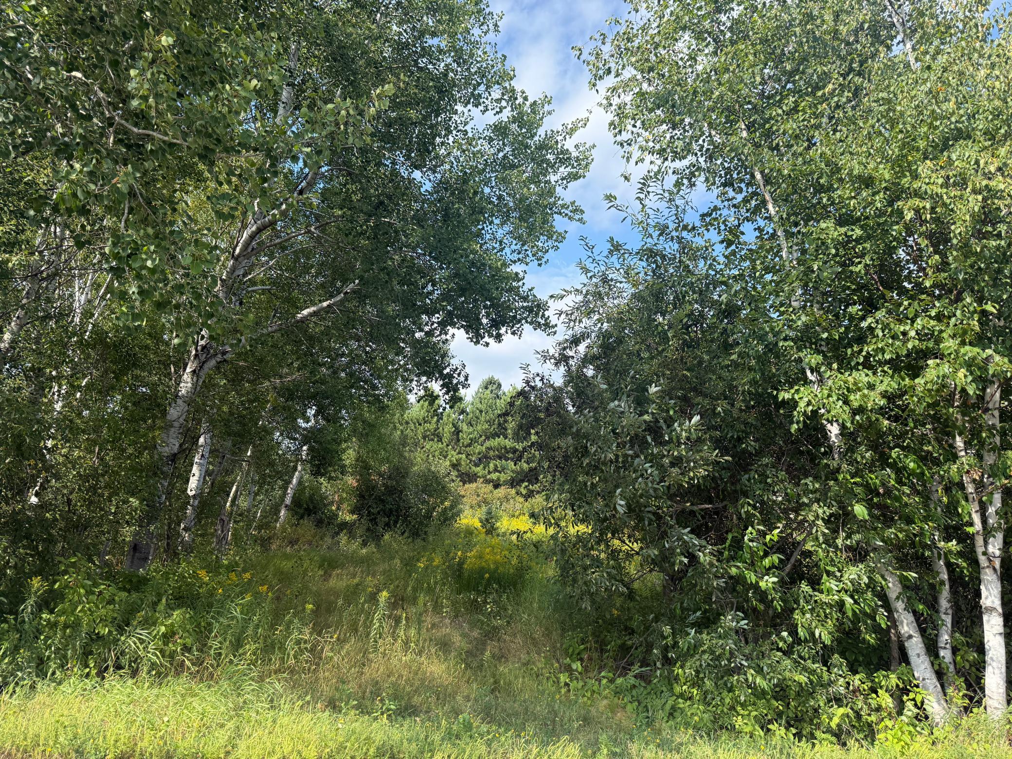 Property photo for 5 Evelyn Street, Esko, MN 55733
