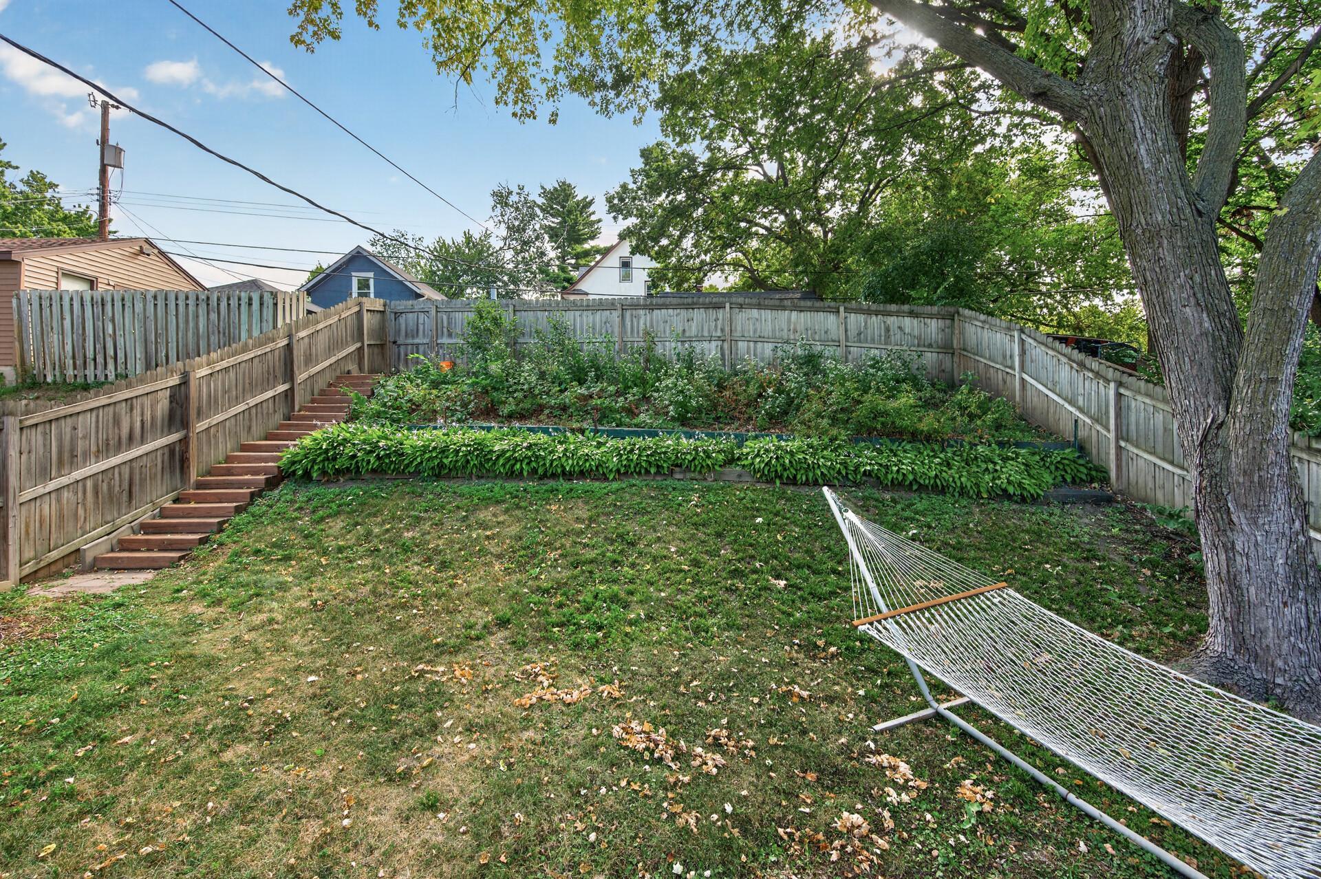 Backyard/Garden with Dog Friendly Plants
