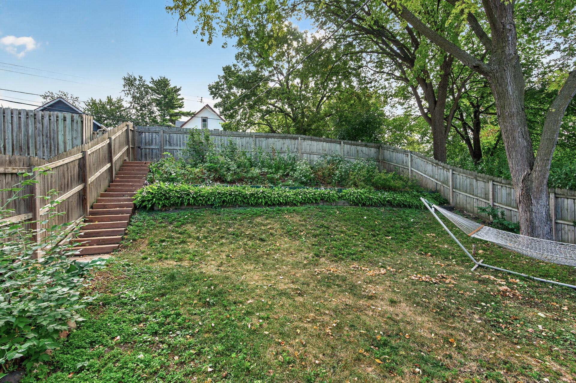 Backyard/Garden with Dog Friendly Plants