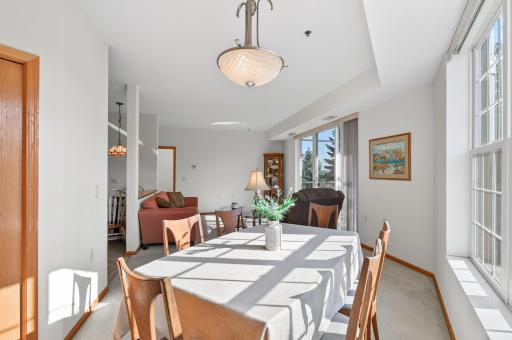15001 Burnhaven Drive, 216, Burnsville, MN 55306