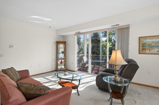 Spacious living room. Door to patio provides ample natural light!