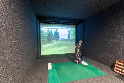 Golf simulator to keep your game active in the winter months.