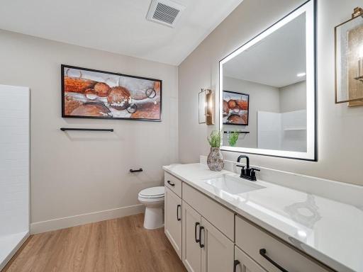 035-054-Lower Bathroom-1024x768.jpg