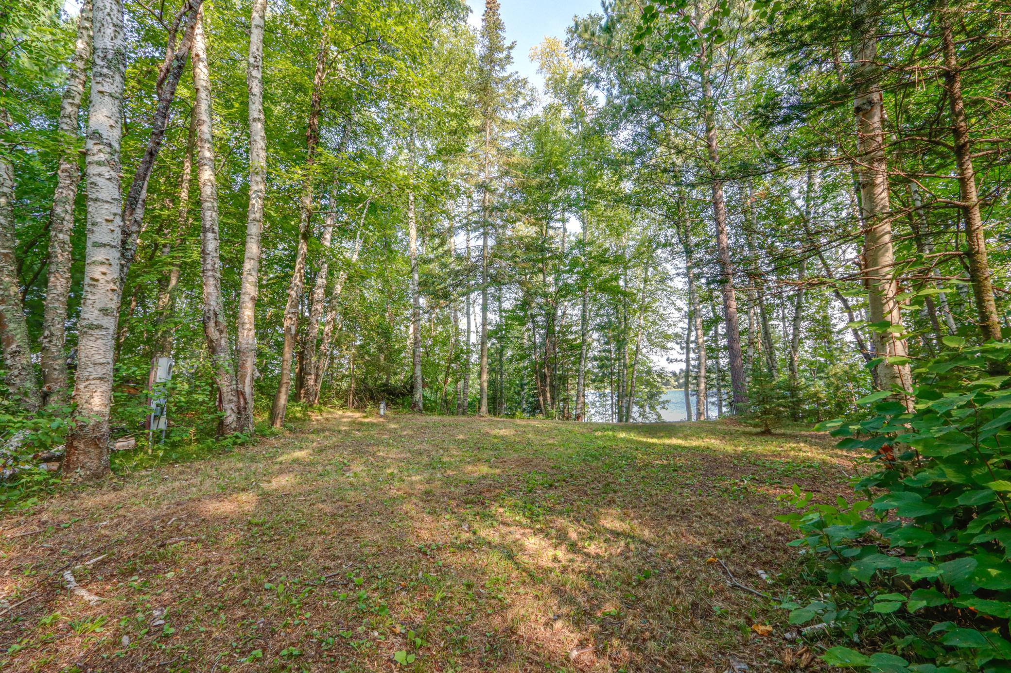 Cleared & Wooded