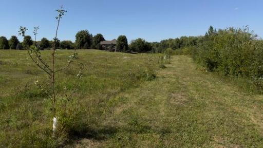 25XXX Newport Avenue, New Prague, MN 56071
