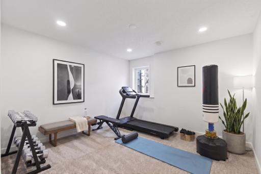 Basement BR/Gym
