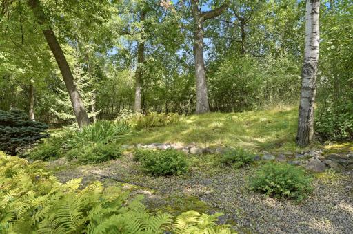 Wow, what a back yard. Lots of perennials thruout