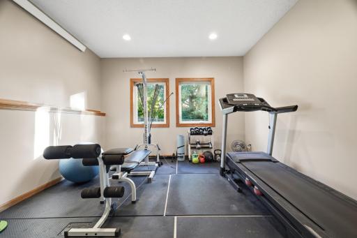Exercise room in the lower level - below main level sunroom