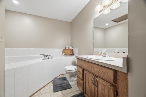 Lower level bathroom