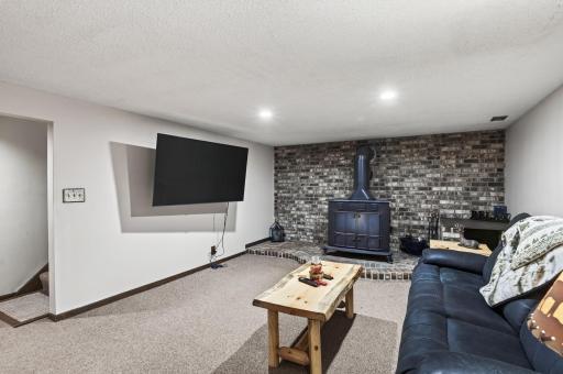 Wood burning gas stove