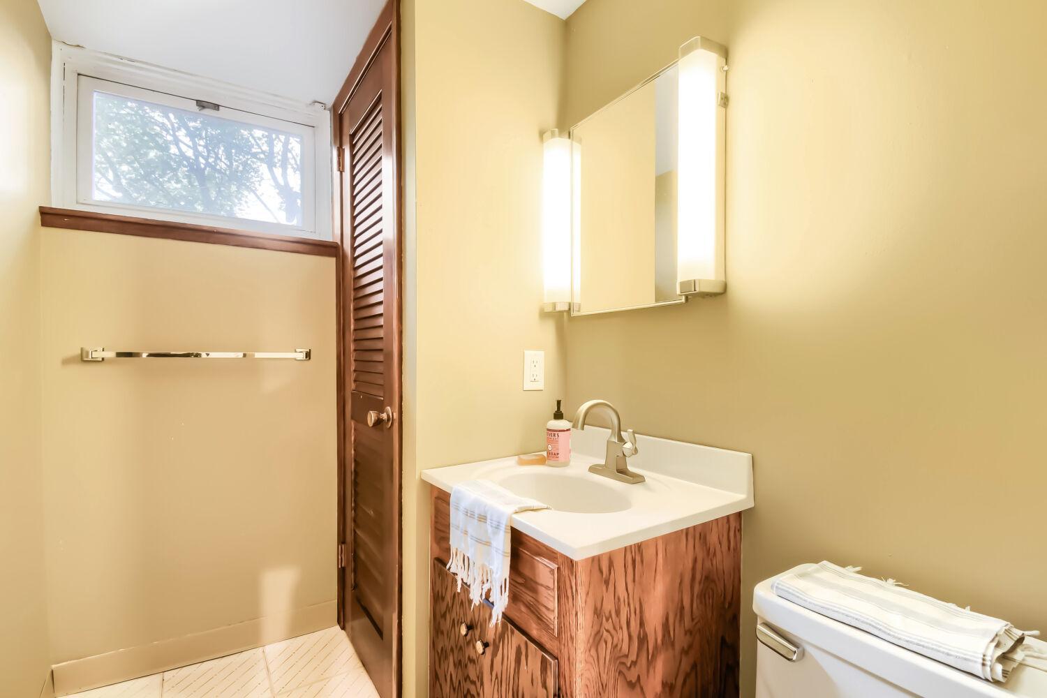 Lower level Bathroom.jpg
