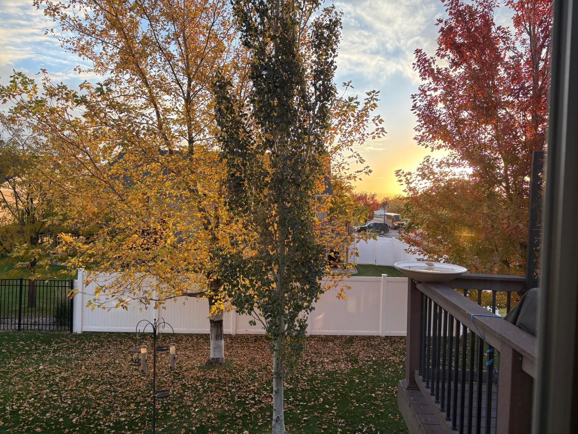 de6541d6-5372-4d52-9374-ddca385b7e34.jpg
