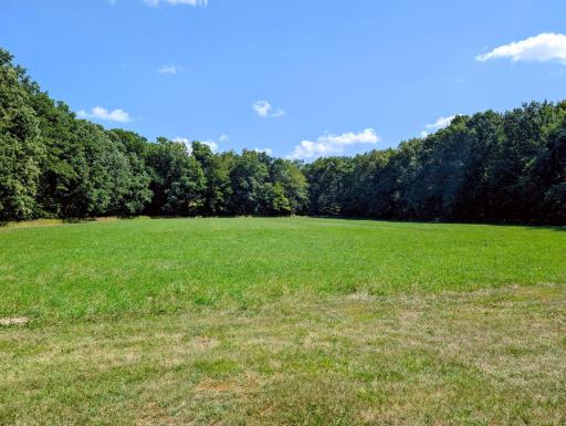 Almost 2 acre pasture surrounded by woods