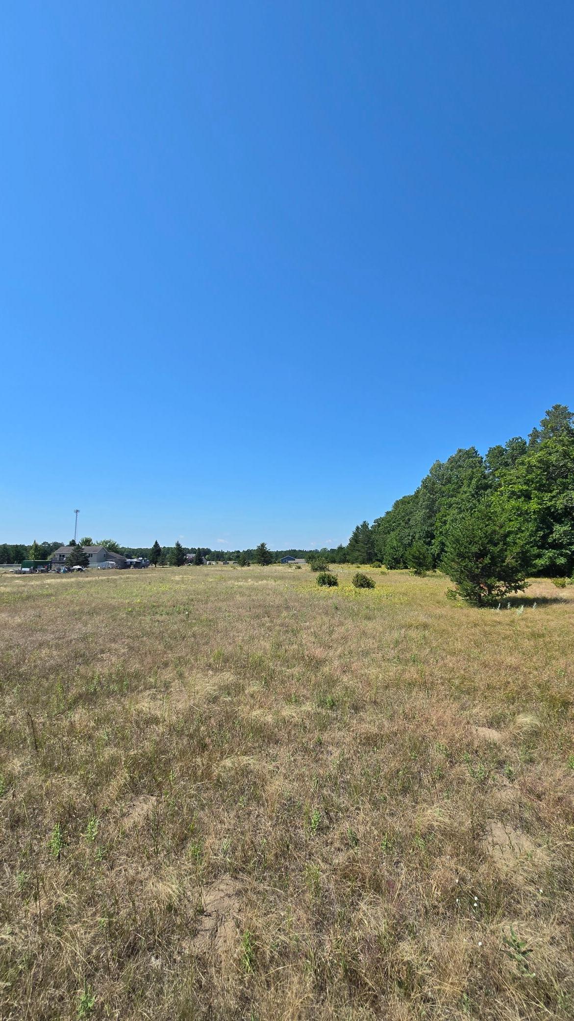 Back of lot facing street