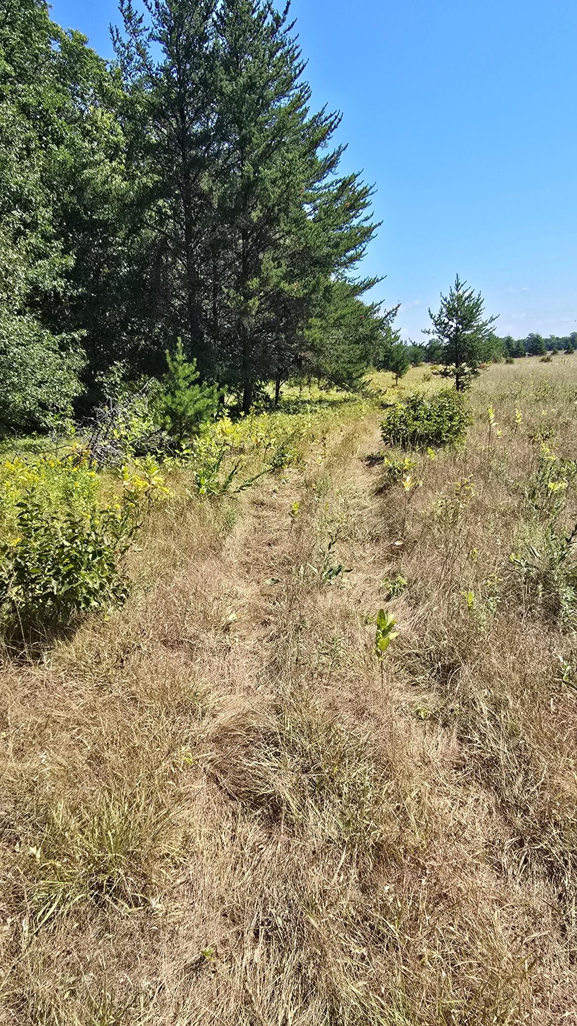 trail leads along the whole left side