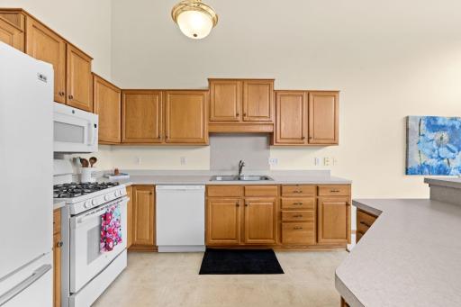 3446 156th Street W, Rosemount, MN 55068