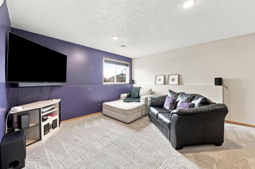 Downstairs Family room