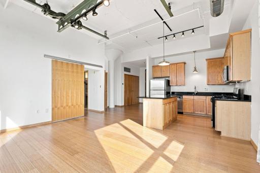 1701 Madison Street NE, 310, Minneapolis, MN 55413