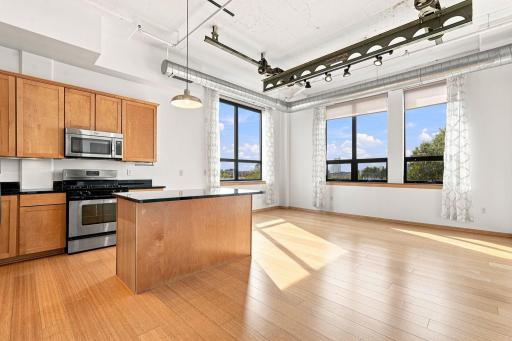 1701 Madison Street NE, 310, Minneapolis, MN 55413
