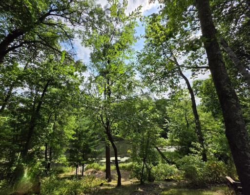 25841 Normans Landing Road, Webster, WI 54893