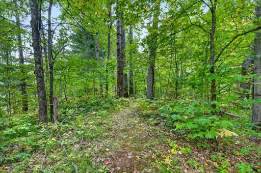 25841 Normans Landing Road, Webster, WI 54893