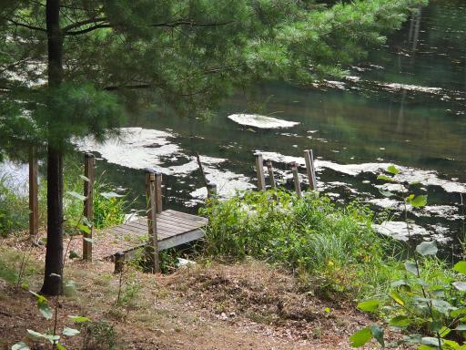 25841 Normans Landing Road, Webster, WI 54893