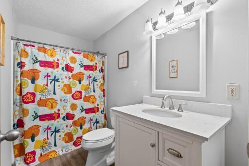 Lower level full bath