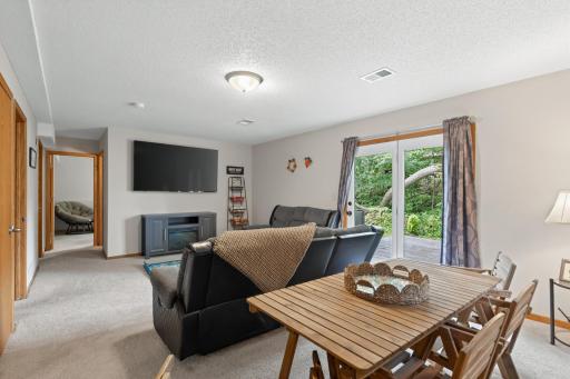 Family room with walk out