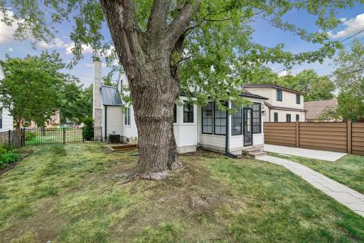 Large tree for shade! Look at that cute porch