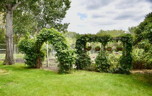 DSC_4933.JPG