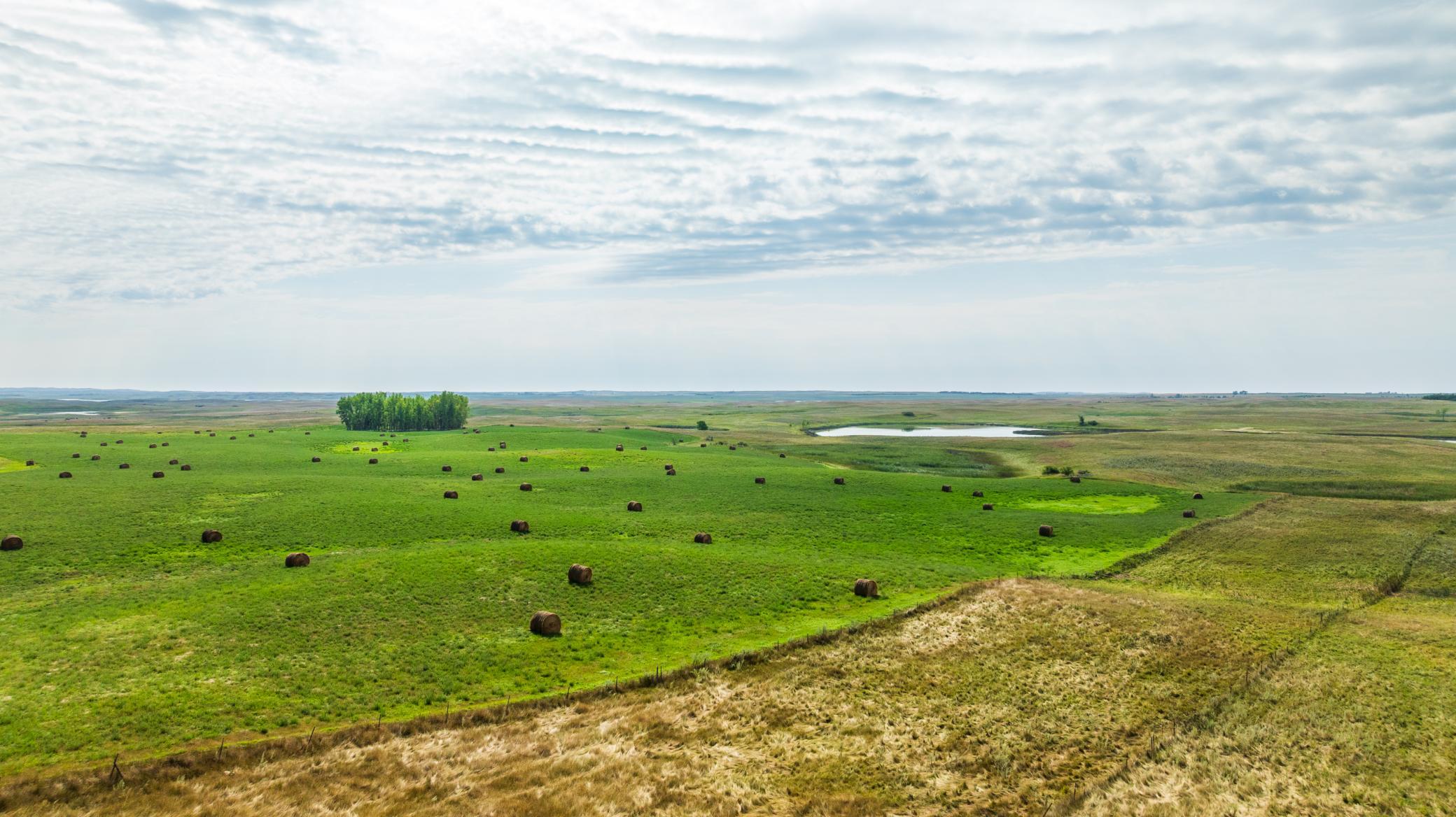 Property photo for TBD 20 Ave SE Lot 1, Goodrich, ND 58444