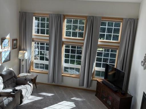You will enjoy the sunshine, birds and wildlife through these amazing windows!