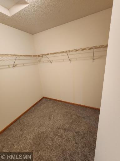 Master closet newly carpeted /painted