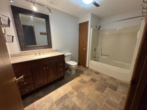 Lower level bathroom