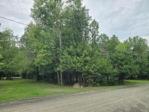 20260821_162241.jpg