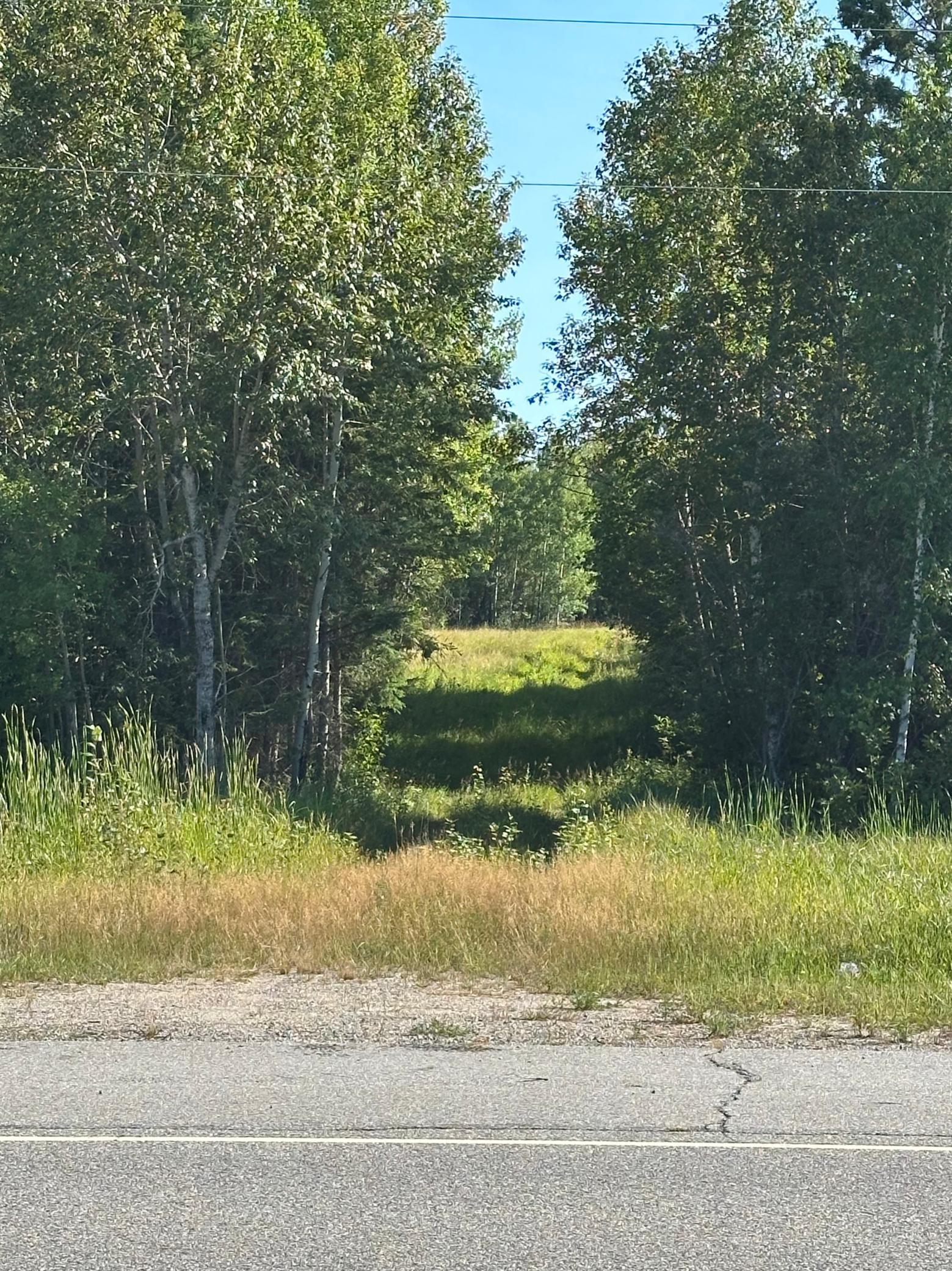 TBD ESH Acreage Highway 53, Ray, MN 56669
