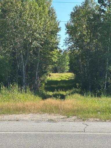 Photo for TBD ESH Acreage Highway 53, Ray, MN 56669 - listing #7134084 TBD ESH Acreage Highway 53, Ray, MN 56669