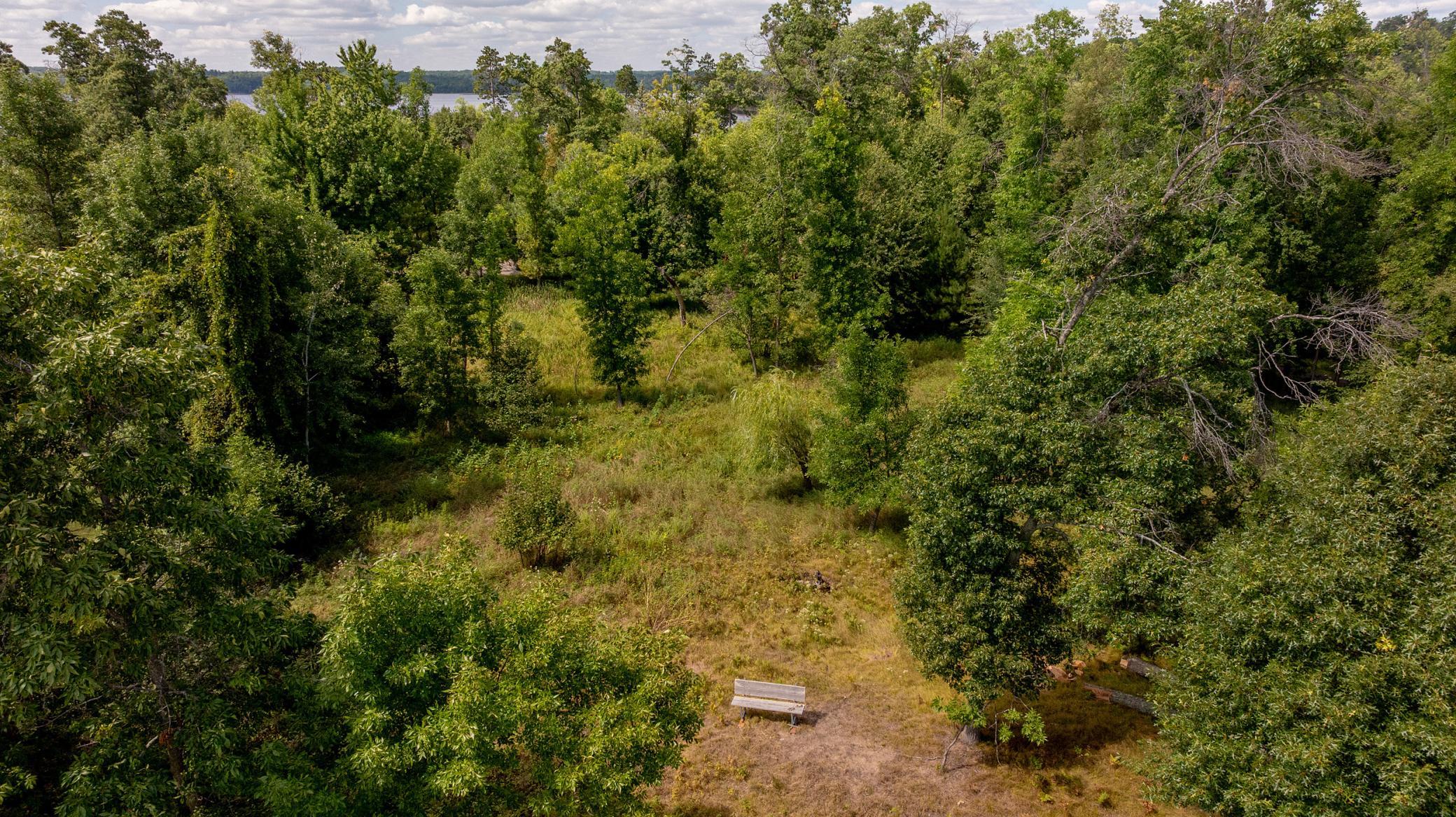 Wooded buildable lot near peninsula shoreline