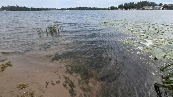 Sandy Lake Bottom