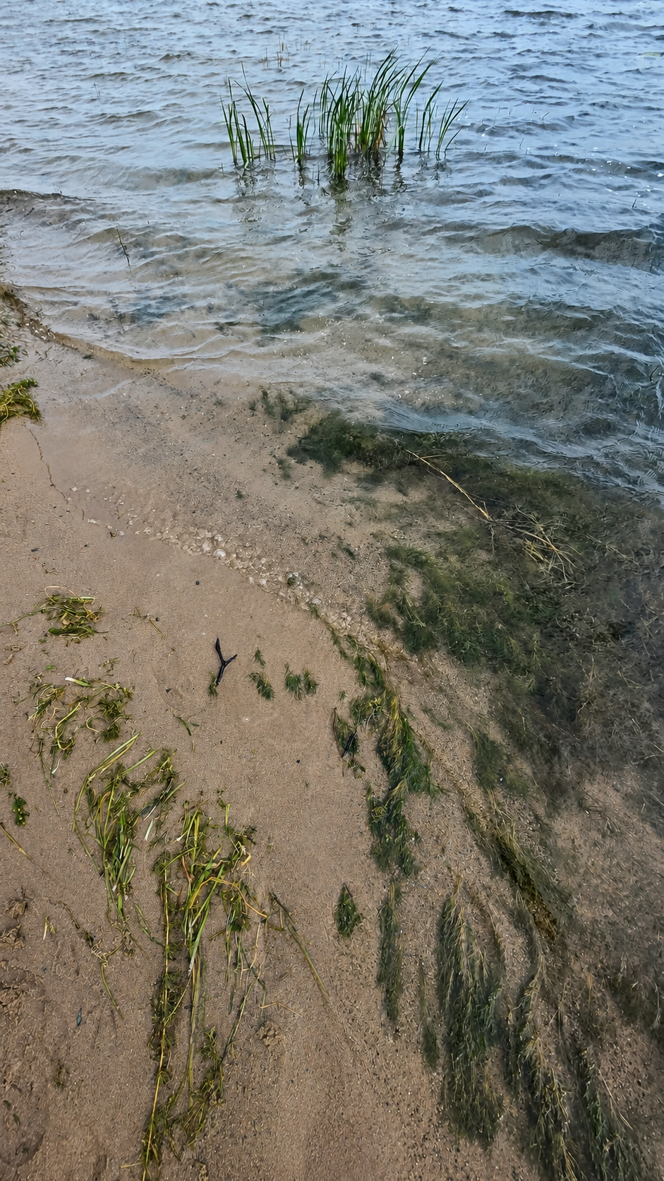 Sandy Lake Bottom