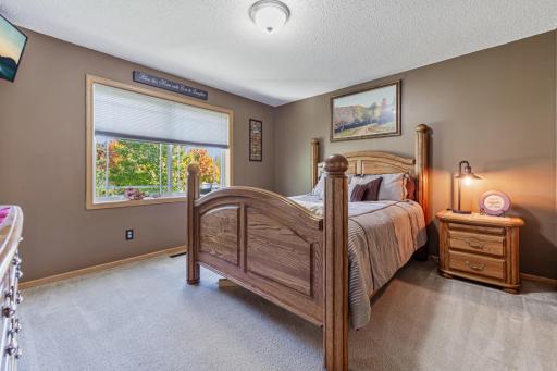2nd bedroom. Lighted, step-in closet behind
