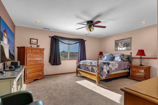 Lower level large bedroom with can lighting, and large walk through closet.