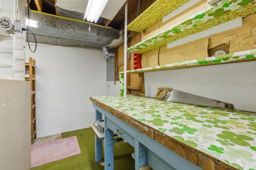Basement Work Shop
