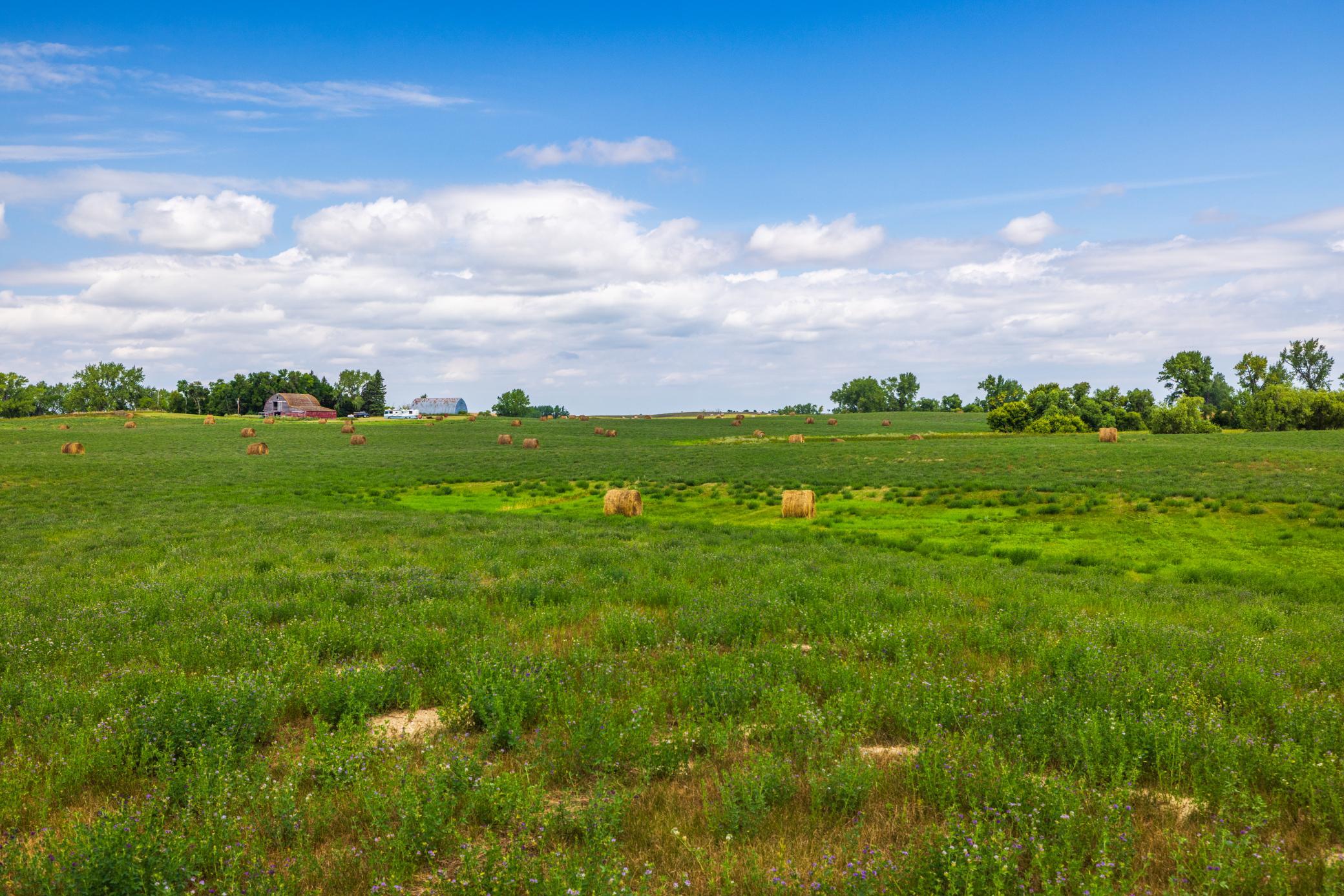 Amdak__Hursdfield ND_0096.jpg