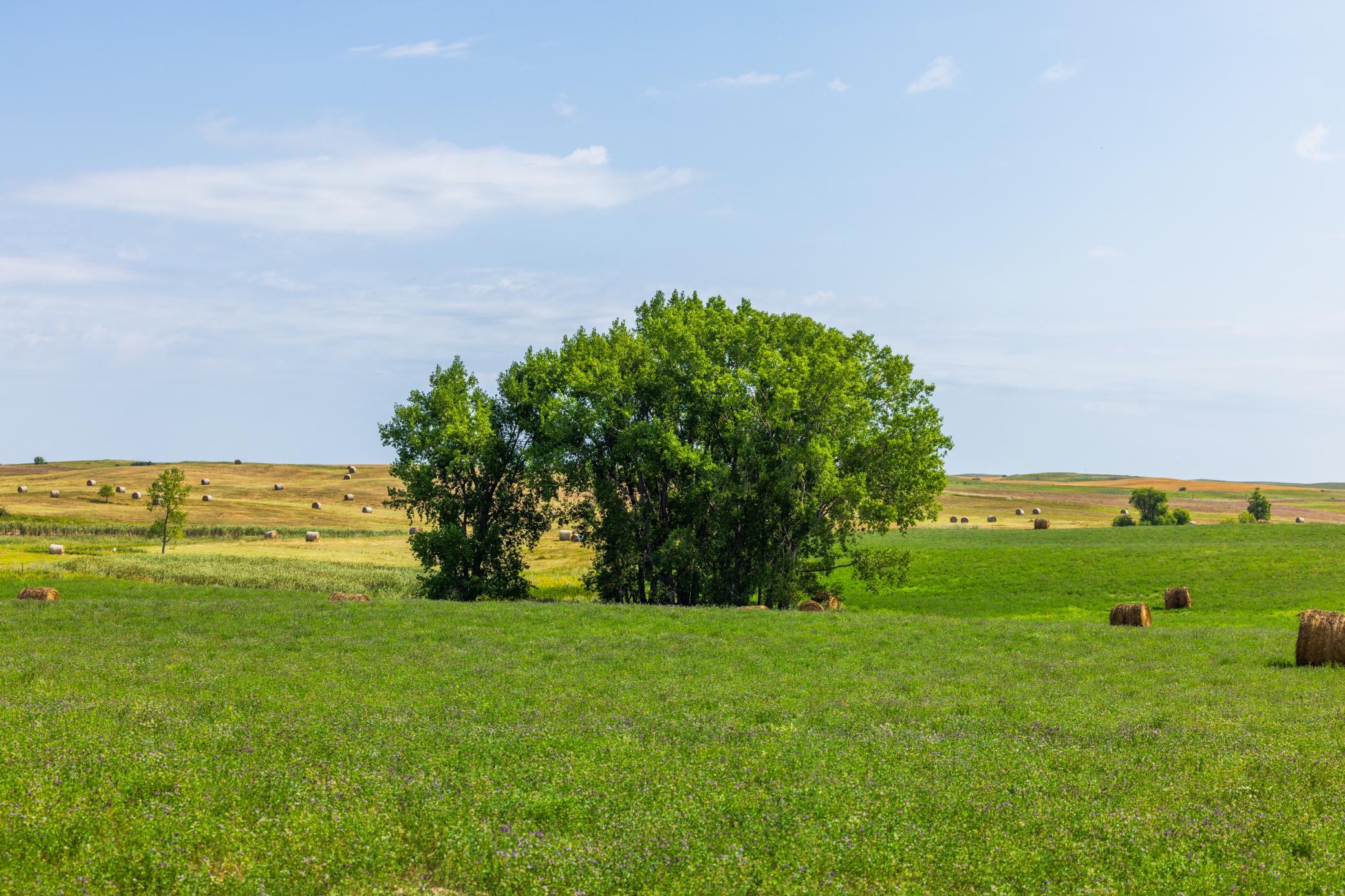 Amdak__Hursdfield ND_0052.jpg