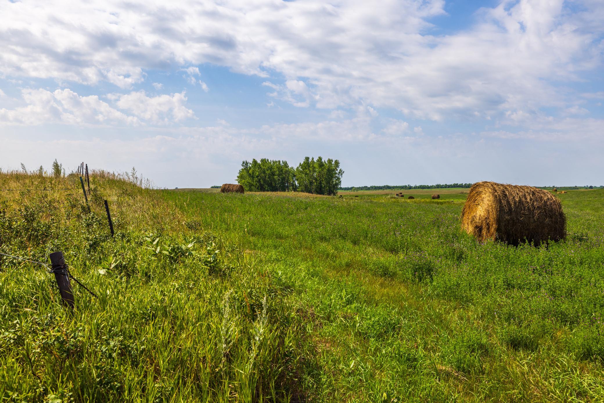 Amdak__Hursdfield ND_0063.jpg