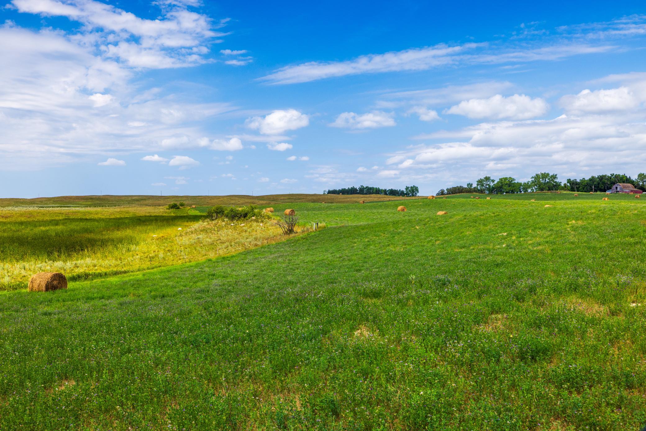Amdak__Hursdfield ND_0094.jpg