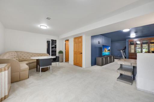 Lower Level Family Room