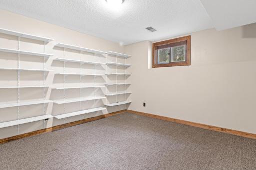 12611 Larch Street NW, Coon Rapids, MN 55448
